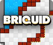 Briquid