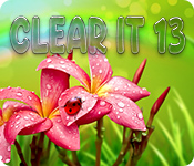 ClearIt 13 for Mac Game