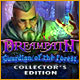 Dreampath: Guardian of the Forest Collector's Edition