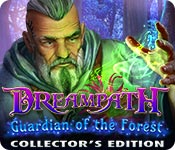 Dreampath: Guardian of the Forest Collector's Edition for Mac Game