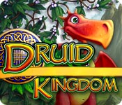Druid Kingdom for Mac Game