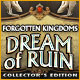 Forgotten Kingdoms: Dream of Ruin Collector's Edition