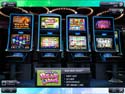 IGT Slots: Wild Bear Paws
