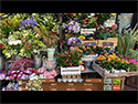 Nature Escapes Collector's Edition for Mac OS X