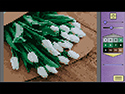 Pixel Art 5 for Mac OS X