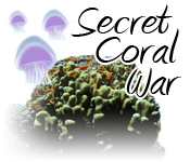 Secret Coral War