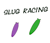 Slug Racing