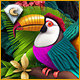 Twistingo: Bird Paradise Collector's Edition