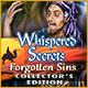 Whispered Secrets: Forgotten Sins Collector's Edition