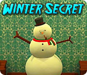 Winter Secret