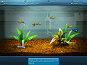 FishCo